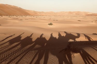 阿联酋的沙漠